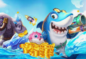 壹号.ccm下载1682024最新版