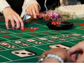 壹号.ccm下载1682024最新版